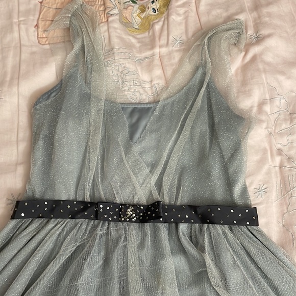 Beautiful Silver tulle dress from Max and Cleo size 10 - Picture 2 of 4